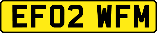 EF02WFM