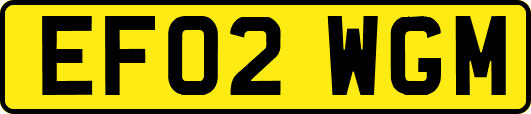 EF02WGM