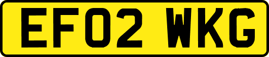 EF02WKG