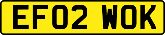 EF02WOK