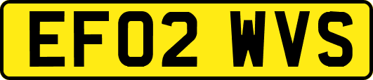 EF02WVS