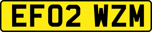 EF02WZM