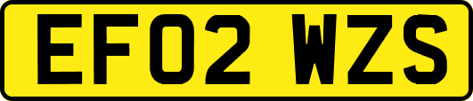 EF02WZS