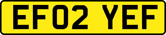 EF02YEF