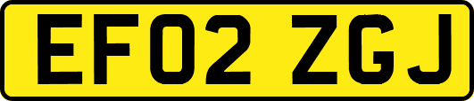 EF02ZGJ