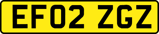 EF02ZGZ