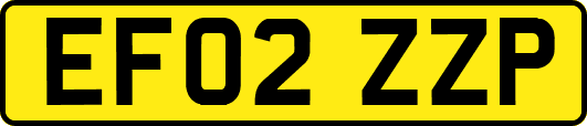 EF02ZZP