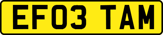 EF03TAM