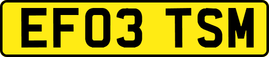 EF03TSM