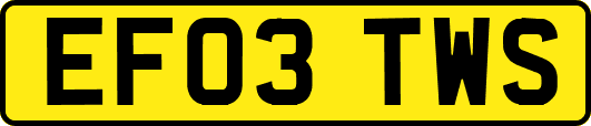 EF03TWS