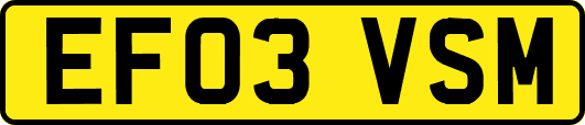 EF03VSM
