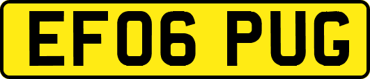 EF06PUG