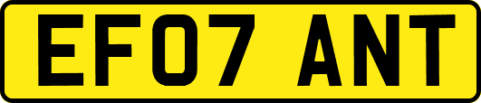 EF07ANT