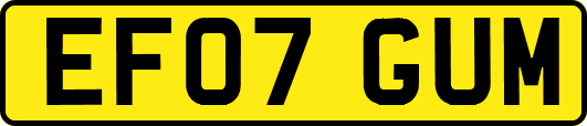 EF07GUM