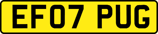 EF07PUG