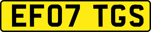 EF07TGS