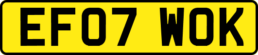 EF07WOK