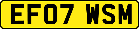 EF07WSM