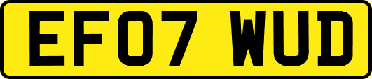 EF07WUD