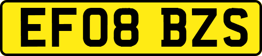EF08BZS