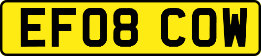 EF08COW