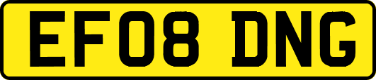 EF08DNG
