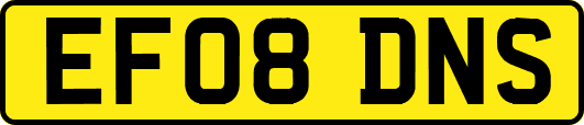 EF08DNS