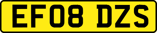 EF08DZS
