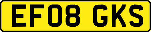 EF08GKS