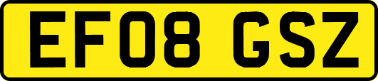 EF08GSZ
