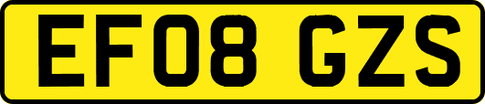 EF08GZS