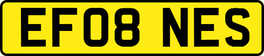 EF08NES