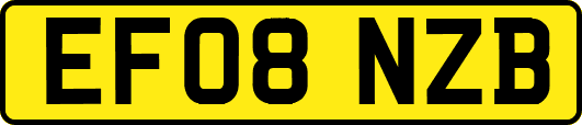 EF08NZB