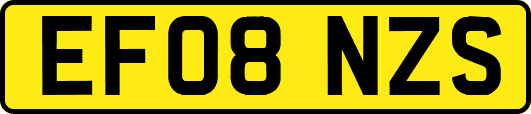 EF08NZS