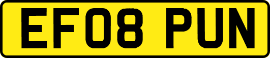 EF08PUN