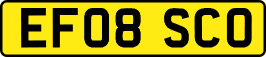EF08SCO