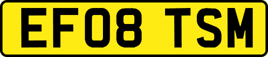 EF08TSM