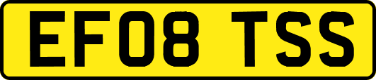EF08TSS