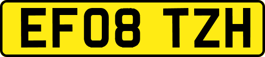 EF08TZH