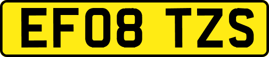 EF08TZS