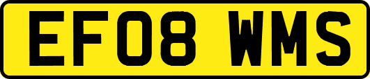 EF08WMS