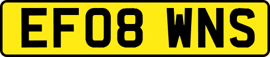 EF08WNS