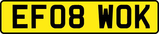 EF08WOK