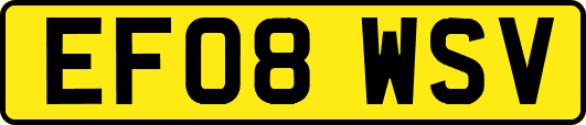 EF08WSV