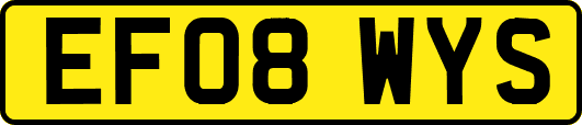 EF08WYS