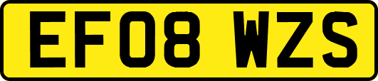 EF08WZS