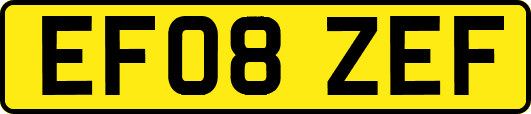 EF08ZEF