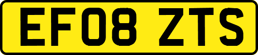 EF08ZTS