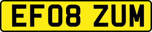 EF08ZUM