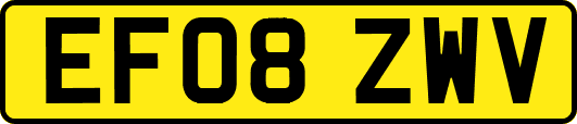 EF08ZWV
